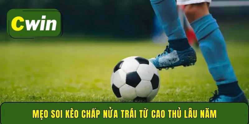 Mẹo soi kèo chấp nửa trái từ cao thủ lâu năm