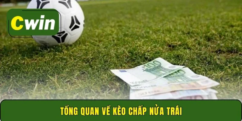 Tổng quan về kèo chấp nửa trái